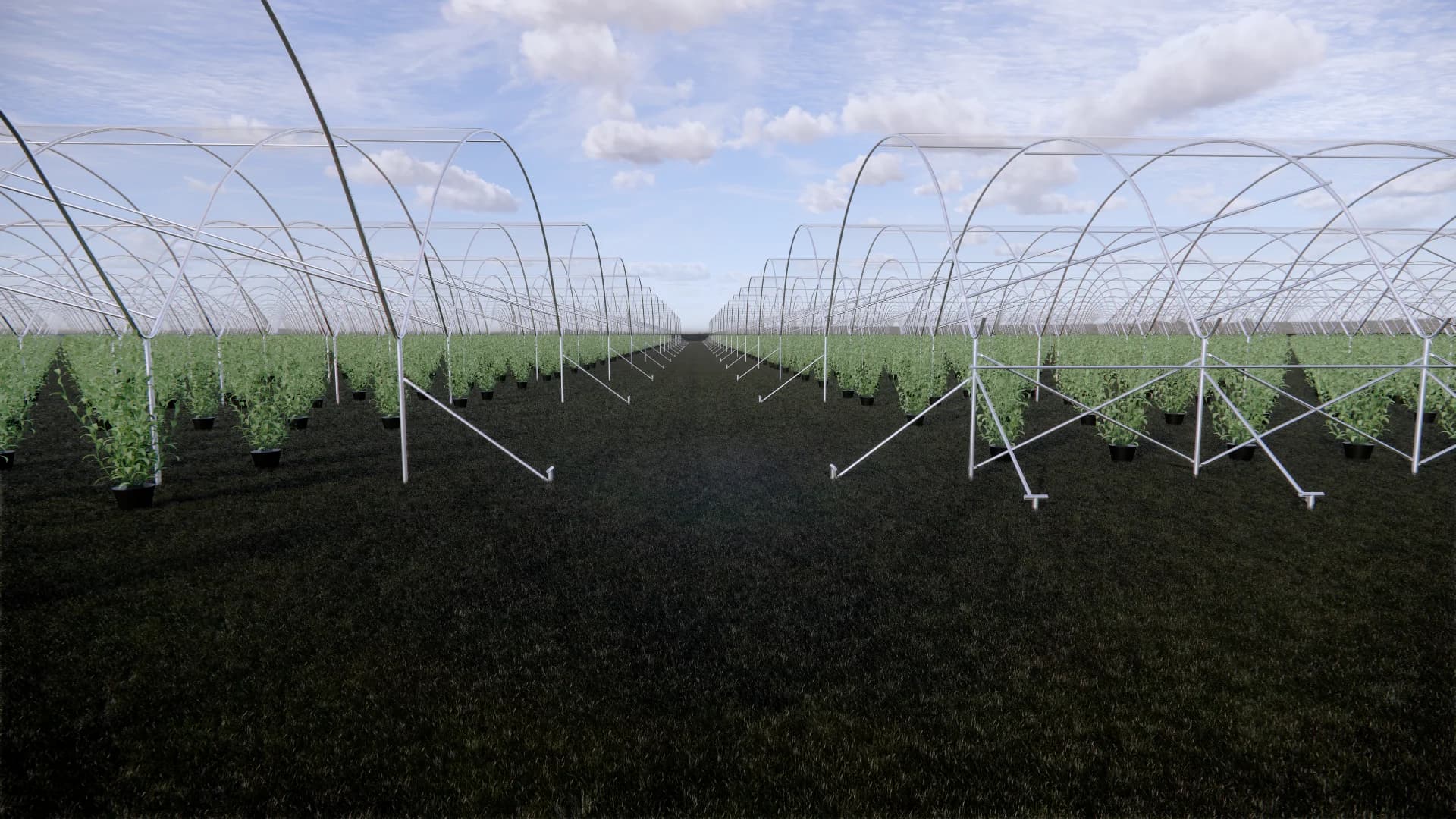 Robert's Farms 2