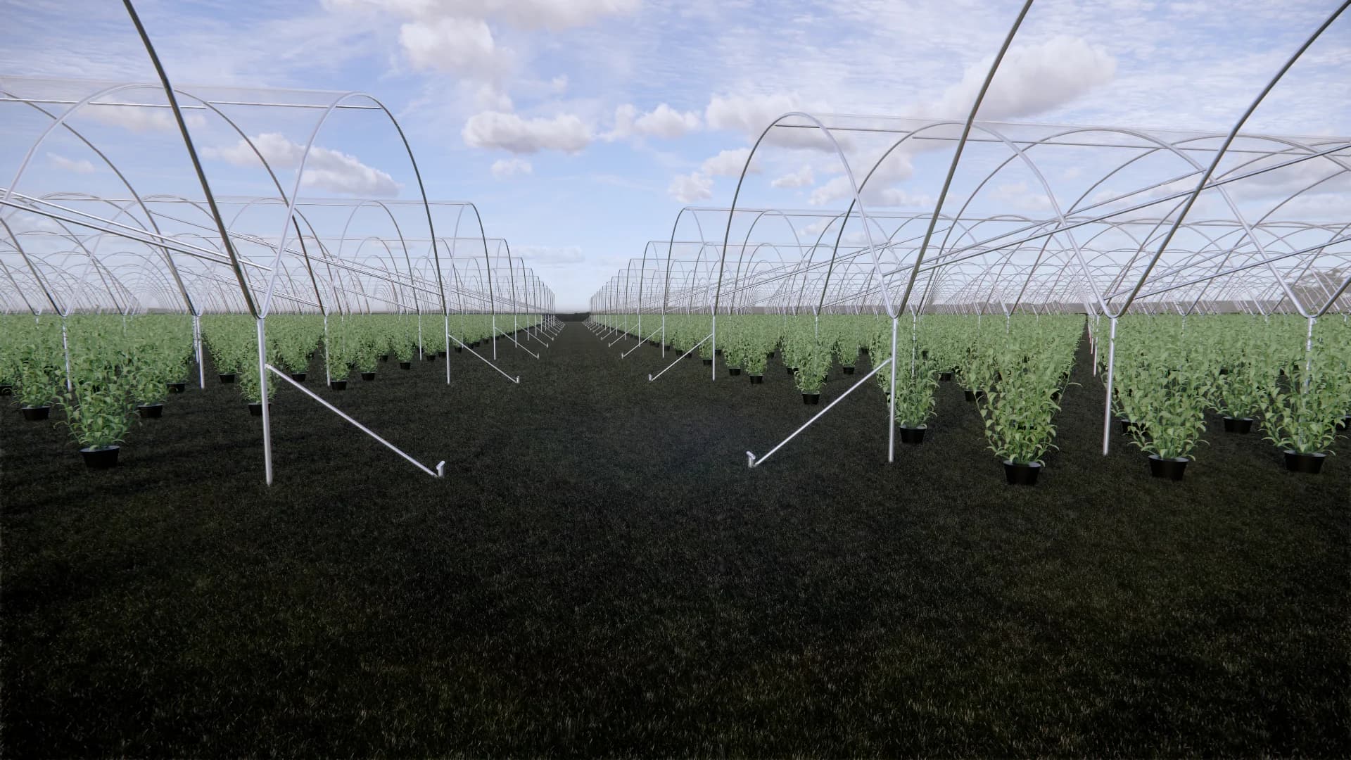 Robert's Farms 4