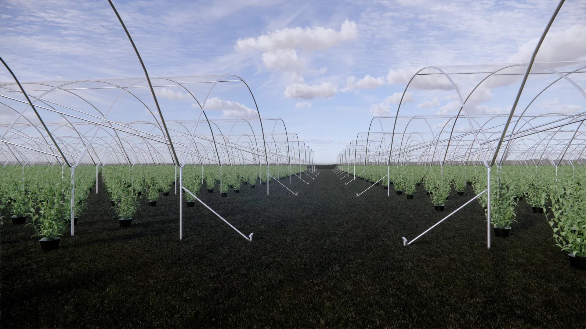 Robert's Farms 5