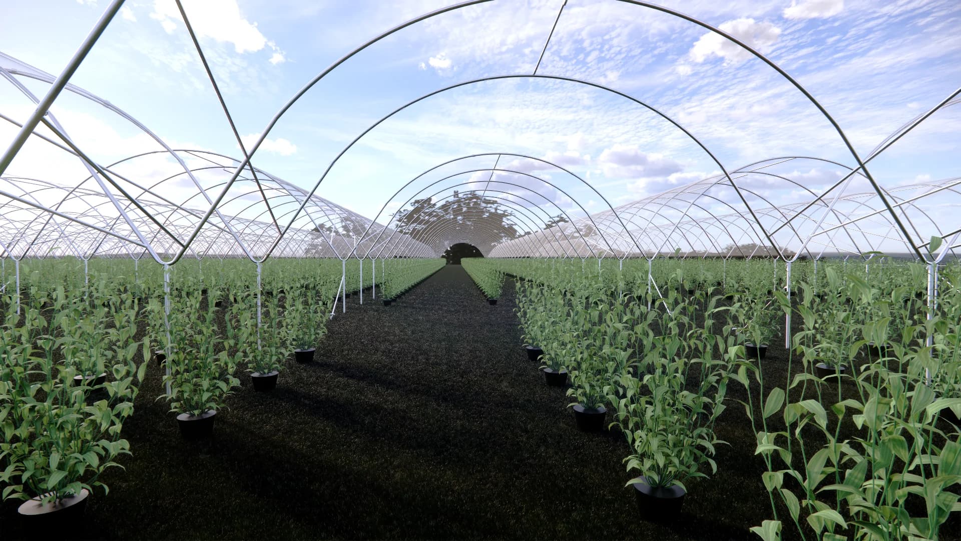 Robert's Farms 7